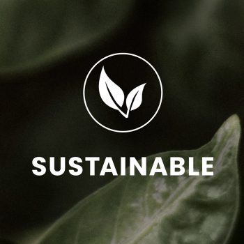 Sustainable Sustainable